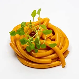 Spaghetti di agar